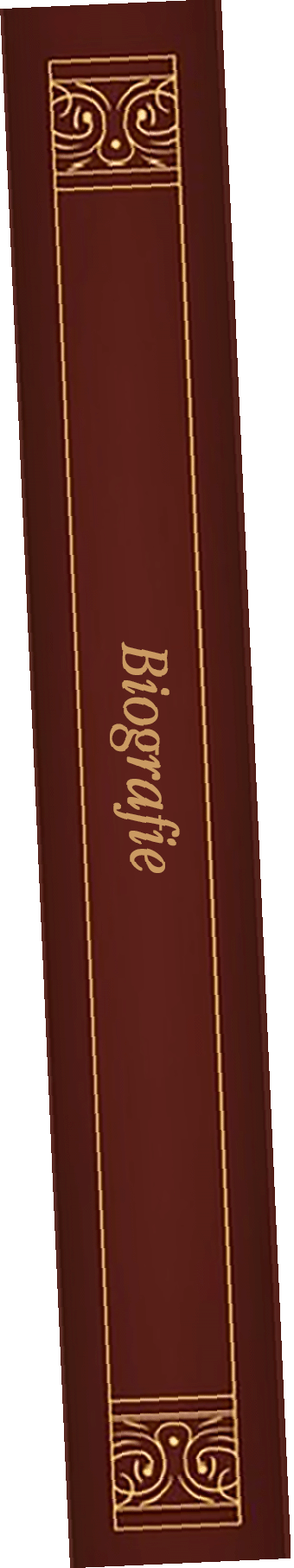 Copertina Flipbook