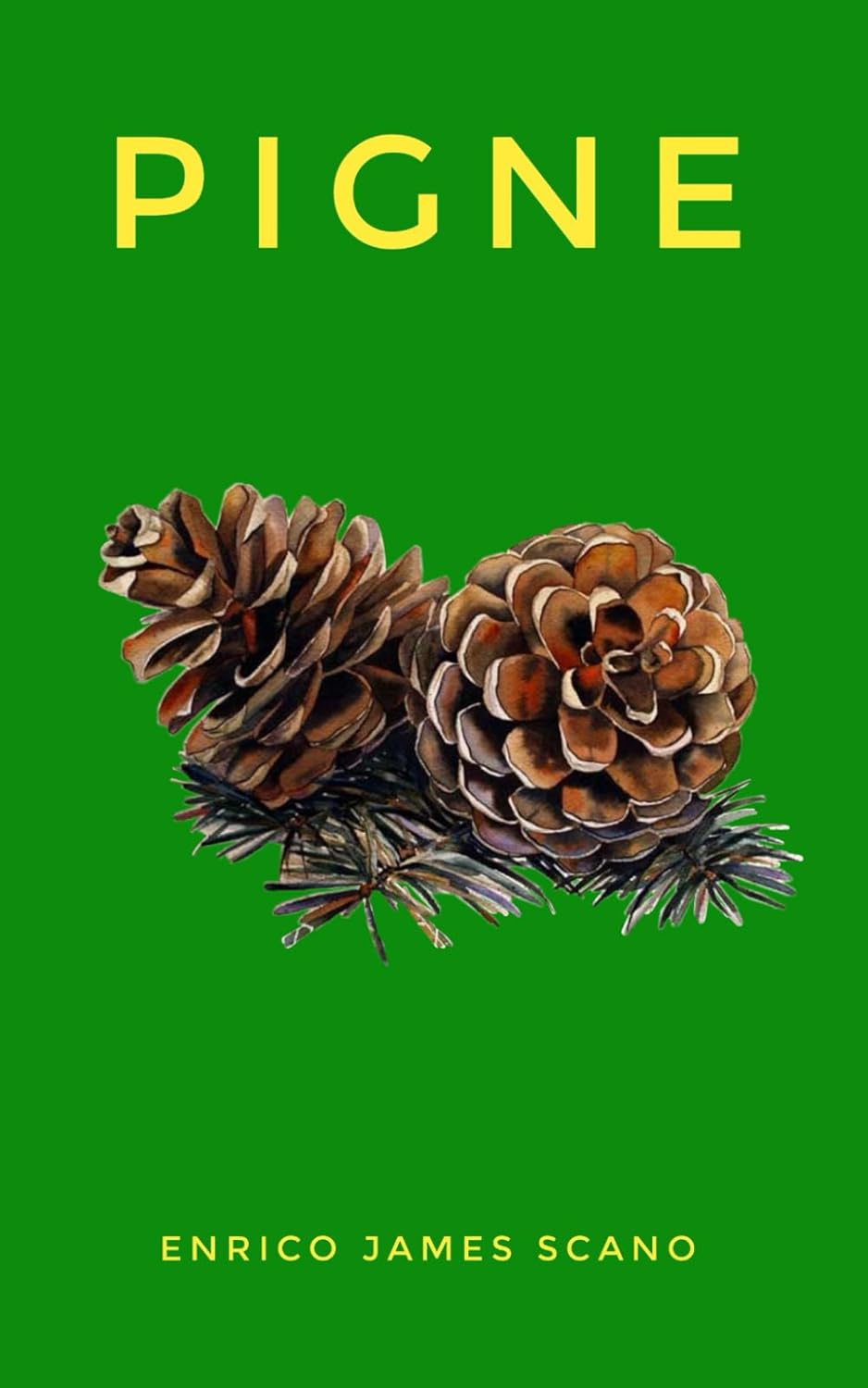 Pigne - Enrico James Scano